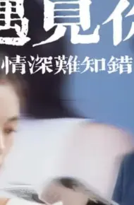 遇见你情深难知错（软萌娇妻总裁大叔太难追）