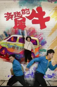 奔跑的犀牛