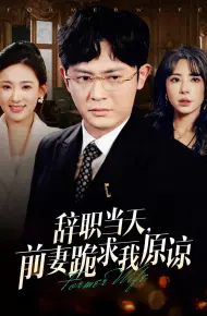 辞职当天前妻哭着求我原谅