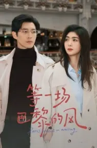 等一场巴黎的风