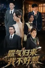 霸气归来我不好惹