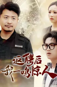 返聘后我一鸣惊人