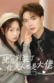 沈总别装了，你夫人也是大佬
