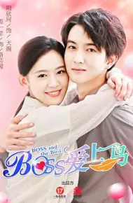 Boss爱上鸟