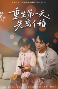 重生第一天，先离个婚