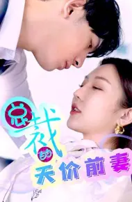 总裁的天价前妻