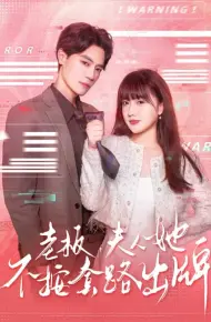 老板夫人她不按套路出牌