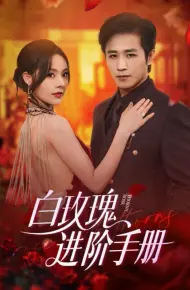 白玫瑰进阶手册
