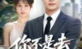 你不是去做头发了吗