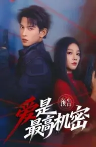 爱是最高机密