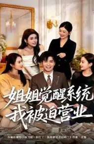 姐姐觉醒系统，我被迫营业