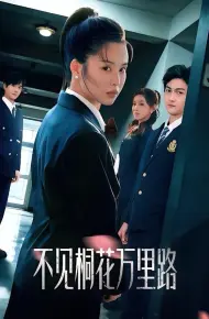 不见桐花万里路