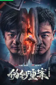 伪钞重案