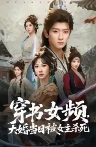 穿书女频，大婚当日被女主杀死