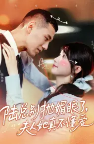 陆总别抛媚眼了夫人她真不懂爱