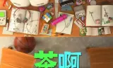 茶啊二中第四季