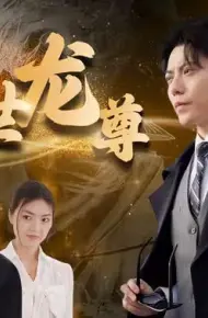 傲世龙尊