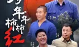 岁岁年年柿柿红