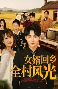 女婿回乡全村风光