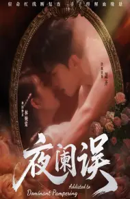 夜阑误