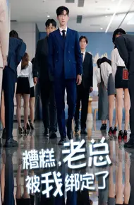 糟糕老总被我绑定了