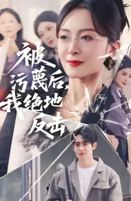 被污蔑后，我绝地反击
