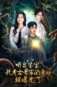 听泉鉴宝,我考古专家的身份被曝光了