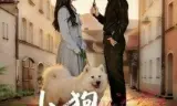 小狗不会冬眠