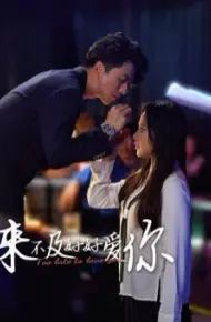 来不及好好爱你