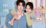心动回旋