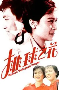 排球之花