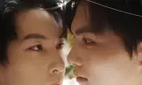 亲爱的小熊先生