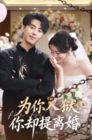 为你入狱,你却提离婚