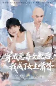 穿成恶毒女配后，我成了女主嘴替