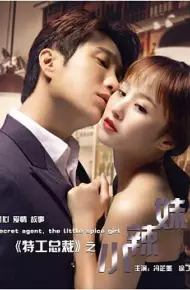特工总裁小辣妹
