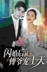闪婚后被傅爷宠上天