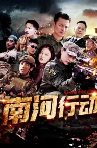 南河行动