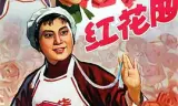 红花曲