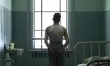 大象之歌