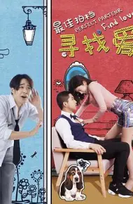 最佳拍档之寻找爱
