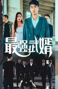 最强武婿