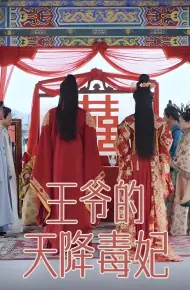 王爷的天降毒妃