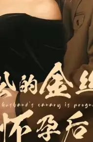 老公的金丝雀怀孕后