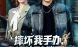 摔坏我手办,我让他赔偿百万