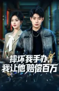 摔坏我手办，我让他赔偿百万