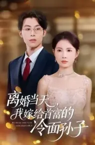 离婚当天，我嫁给首富的冷面孙子