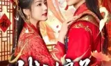 状元娘子