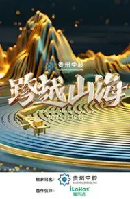 跨越山海2024音乐会