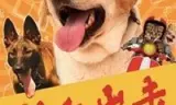 神犬出击