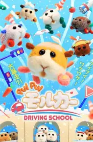 天竺鼠车车学车篇